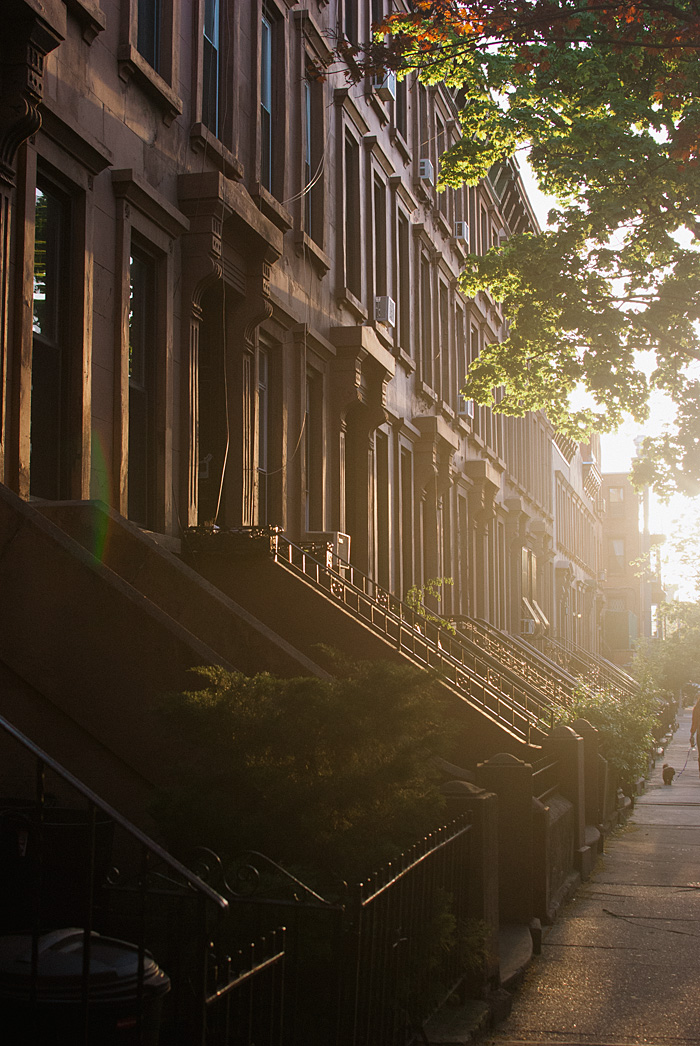 Brownstones in Brooklyn