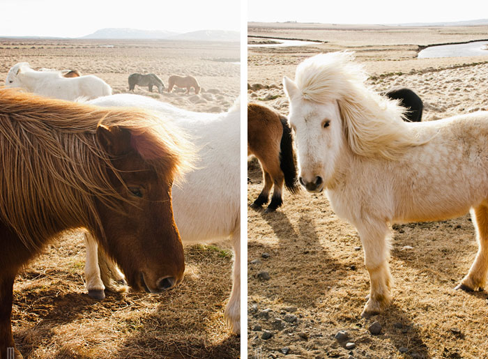 Such hip hairstyles